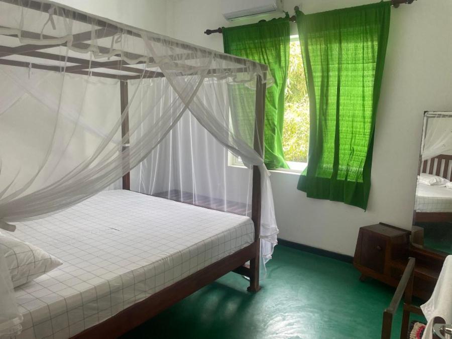 Auberge de jeunesse Why Not Backpackers à Mirissa Extérieur photo